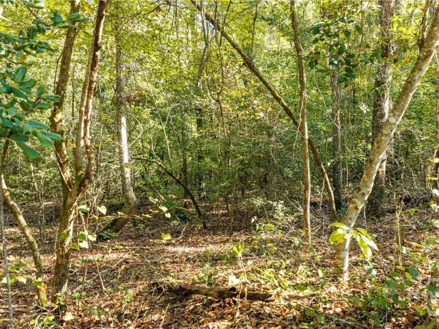 Land for sale in Braswell Corners, Hephzibah