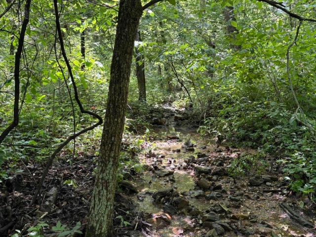 Land for sale in Hickory, Missouri