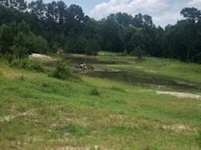 Land for sale in Pointblank Land for sale in Pointblank