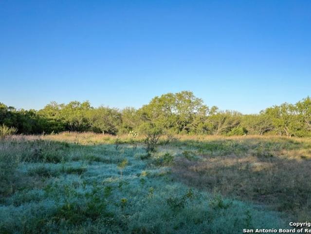 Land for sale in Bee, Texas