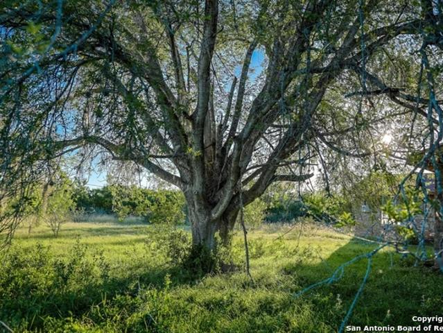 Land for sale in Bee, Texas