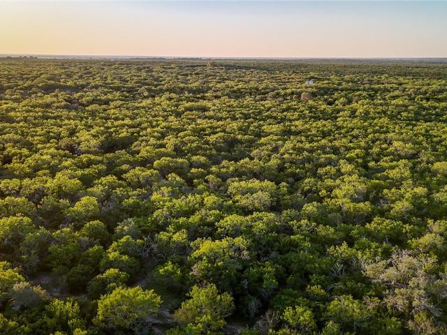 Land for sale in Bee, Texas