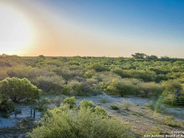 Land for sale in Bee, Texas