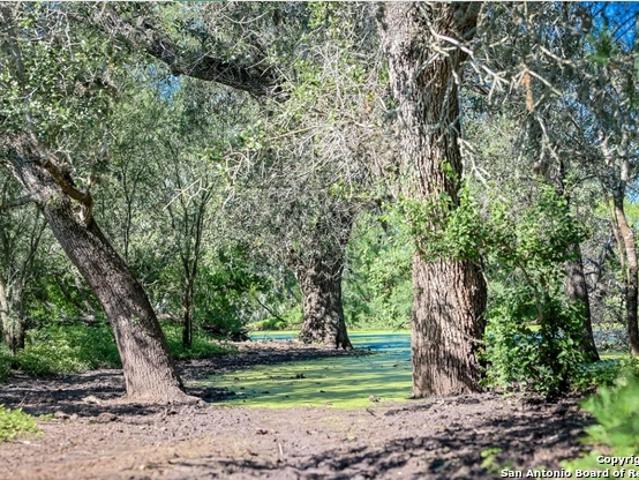 Land for sale in Bee, Texas