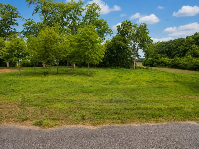 Land for sale in Headland, Alabama