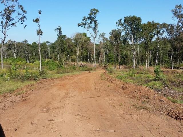 Land for sale in San Augustine, Texas