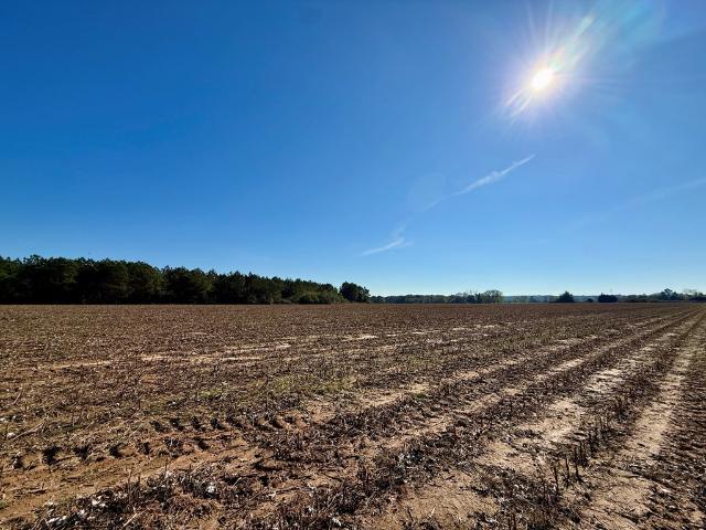 Land for sale in Headland, Alabama