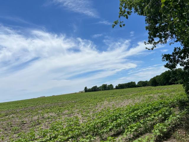 Farm for sale in Williamson, Texas