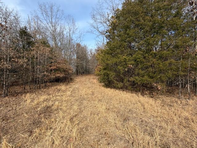 Land for sale in Koshkonong, Missouri