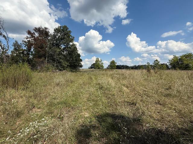 Farm for sale in Phelps, Missouri