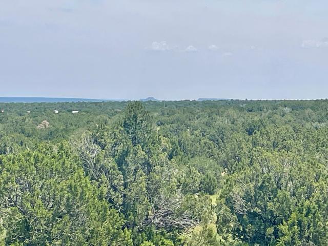Land for sale in Villanueva, New Mexico