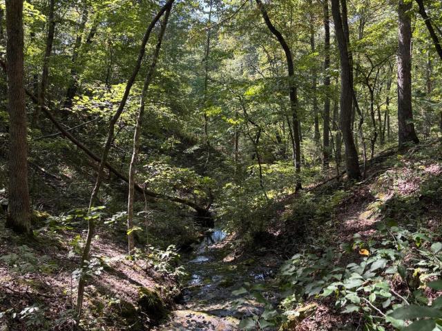 Land for sale in Ava, Missouri