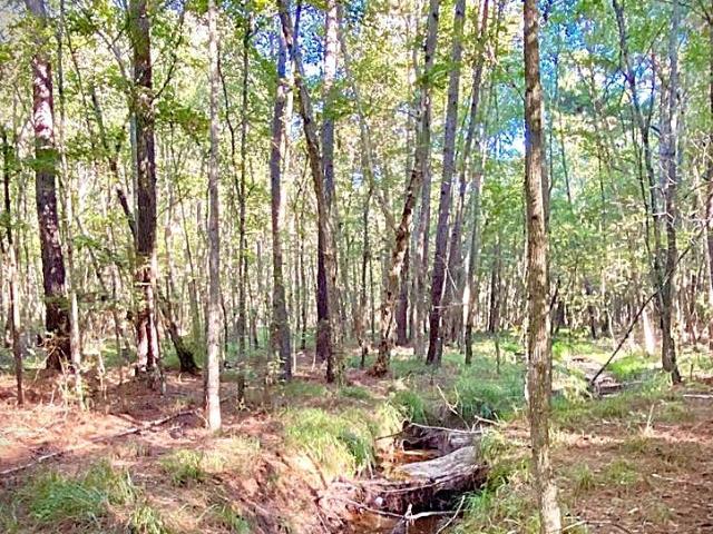Land for sale in Grapeland, Texas
