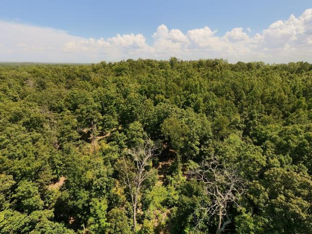 Land for sale in Alton, Missouri