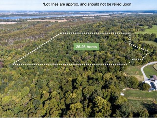 Farm for sale in Bardwell, Kentucky