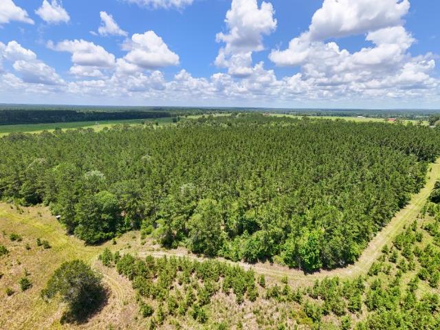 Land for sale in Hillister, Texas