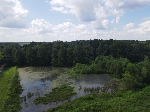 Farm for sale in Greenup, Illinois