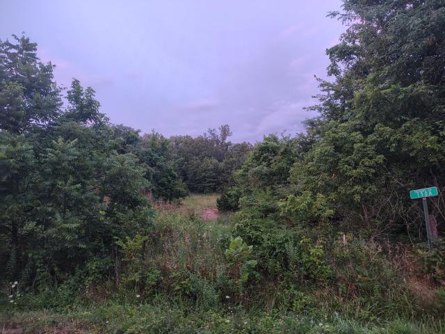 Land for sale in Almon, Preston