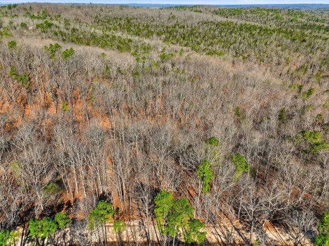 Land for sale in Gainesville, Missouri