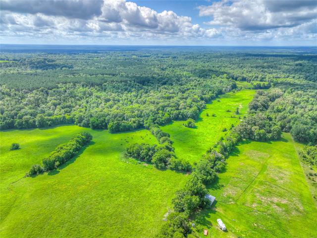 Land for sale in Grapeland, Texas