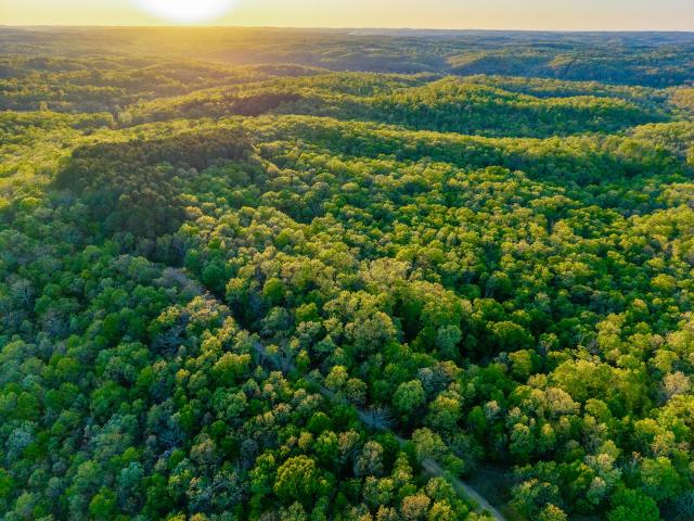Land for sale in Willow Springs, Missouri
