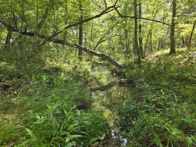 Land for sale in Howell, Missouri