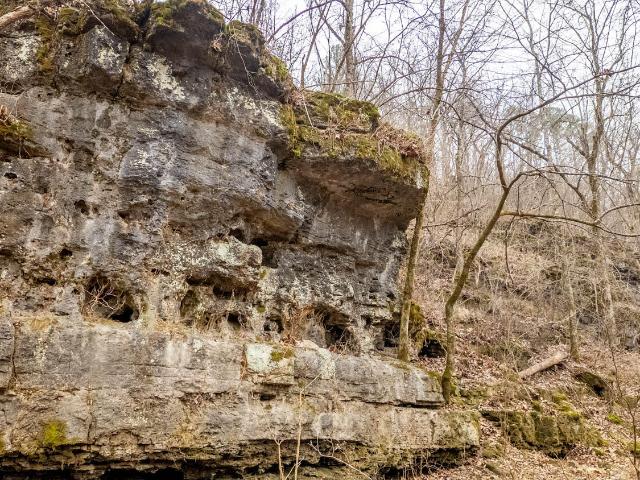 Land for sale in Alton, Missouri