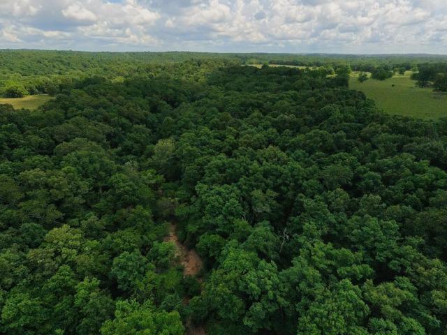 Land for sale in Alton, Missouri