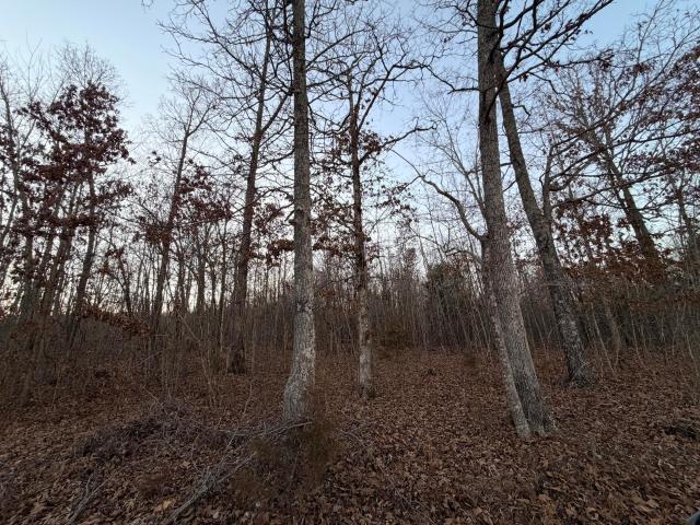 Land for sale in Alton, Missouri