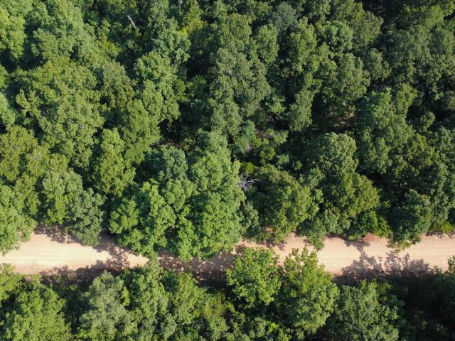 Land for sale in Thayer, Missouri