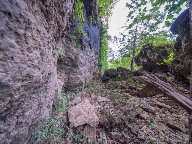Land for sale in Howell, Missouri