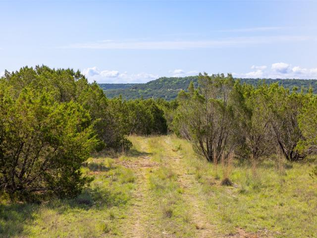 Land for sale in Lometa, Texas