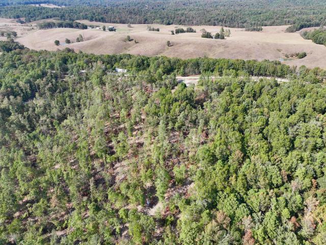 Land for sale in Van Buren, Carter County
