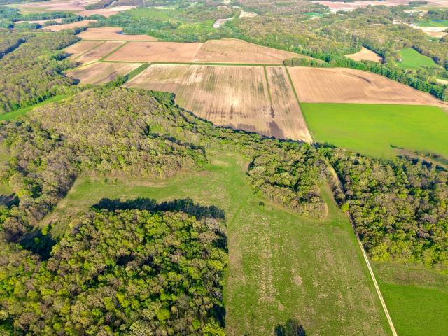 Farm for sale in Cowden, Shelby County