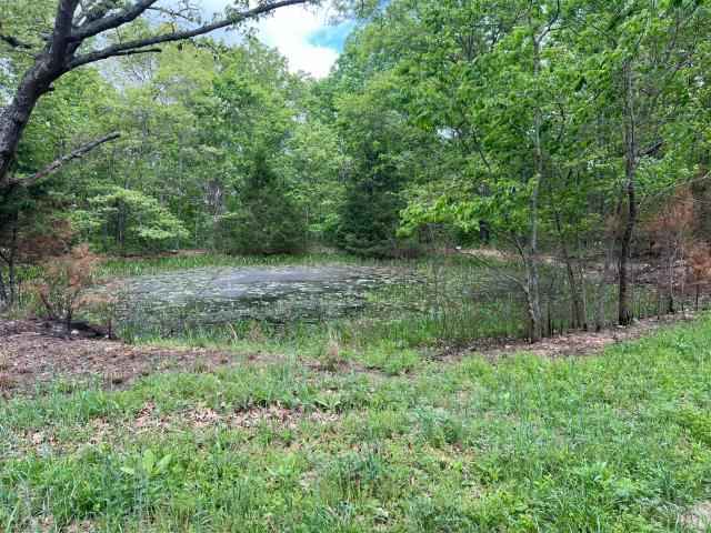 Land for sale in Ava, Douglas County
