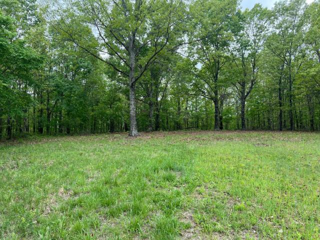 Land for sale in Ava, Douglas County