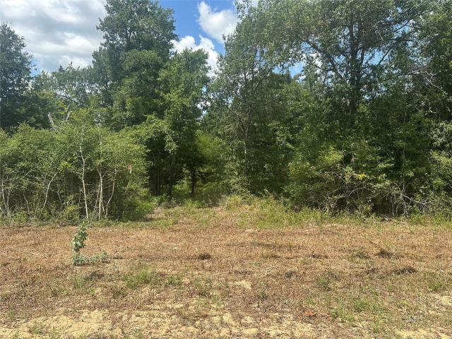 Land for sale in South Salem, Jewett