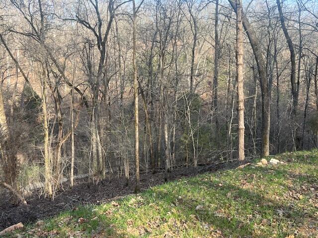 Land for sale in Hillsboro