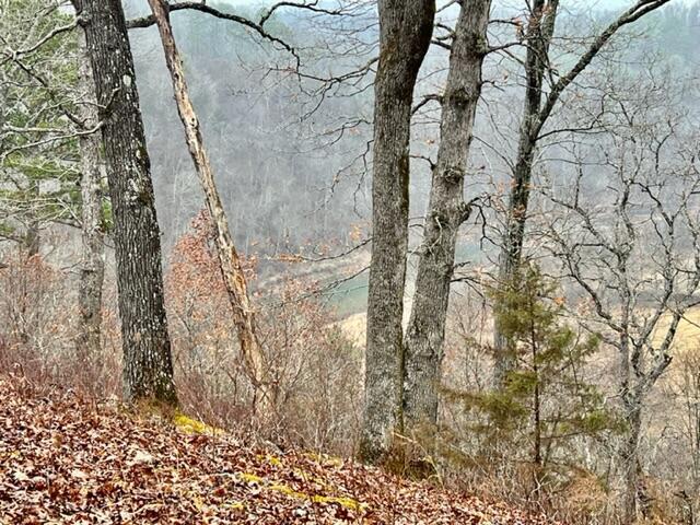 Land for sale in Hillsboro