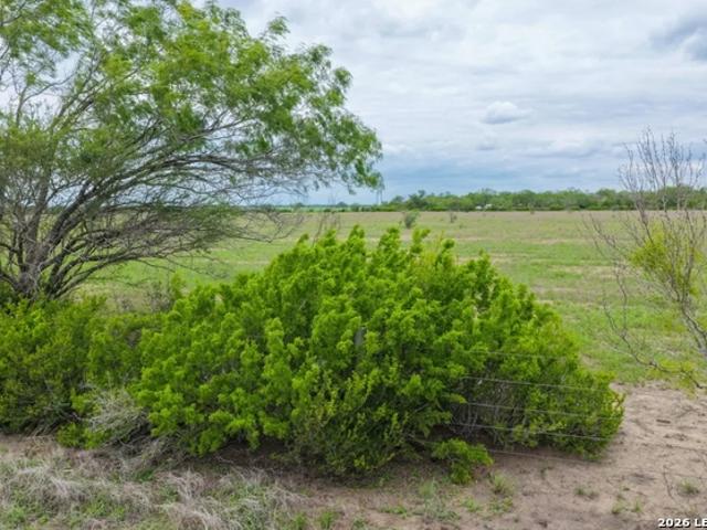 Land for sale in Bee, Texas
