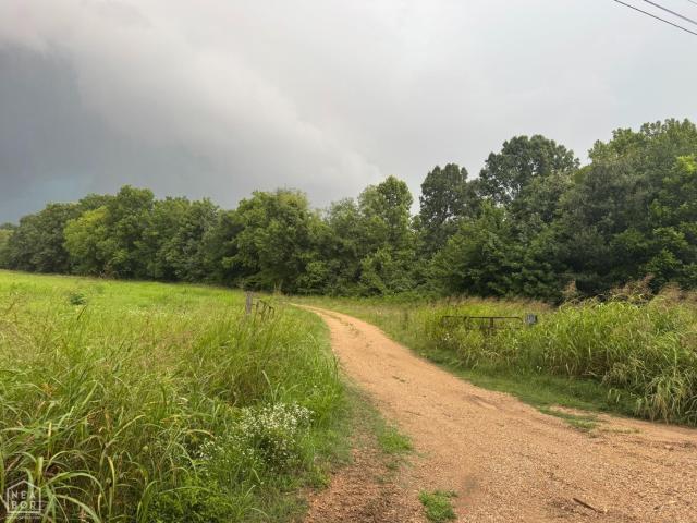 Farm for sale in Piggott, Clay County