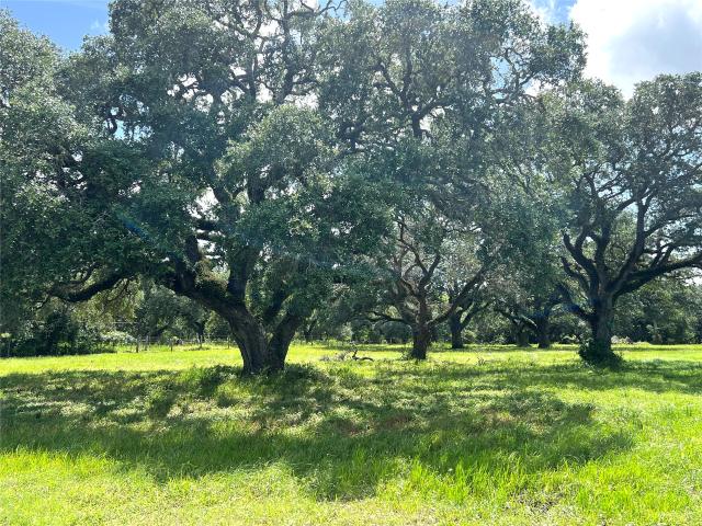 Land for sale in Wharton, Texas