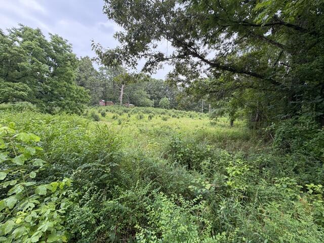 Land for sale in Thayer, Missouri