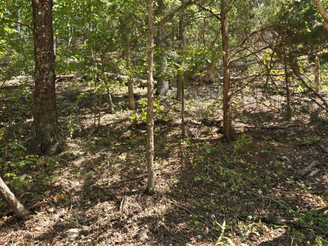 Land for sale in Shannon, Missouri