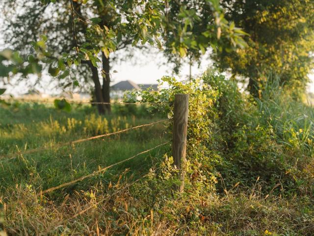 Land for sale in Milam, Texas