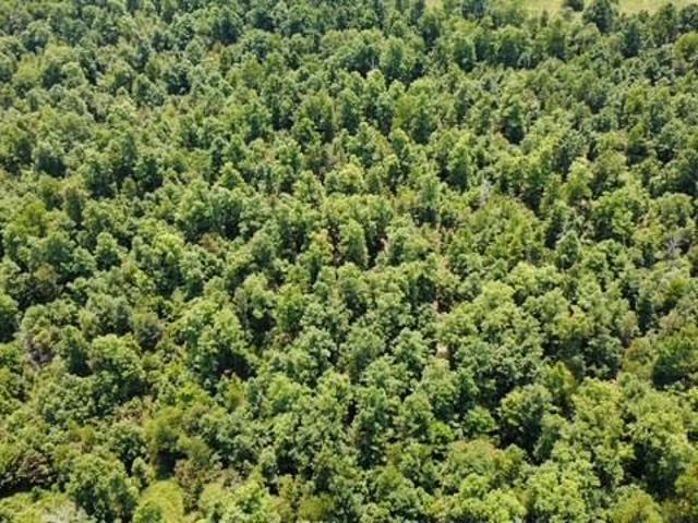 Land for sale in Birch Tree, Missouri