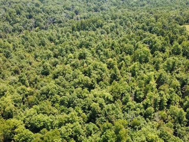 Land for sale in Birch Tree, Missouri