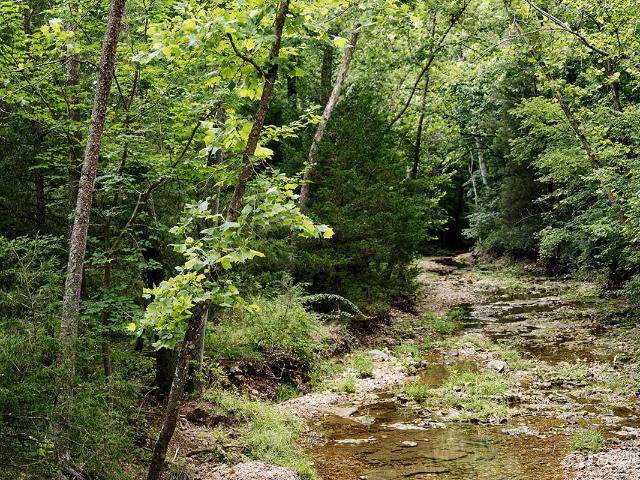 Land for sale in Hickory, Missouri