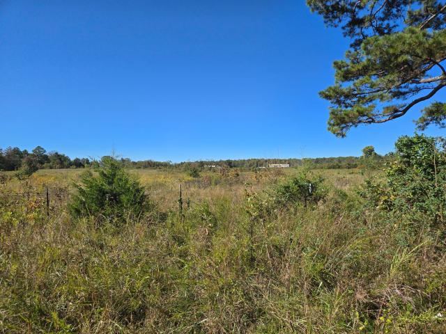 Land for sale in Shannon, Missouri