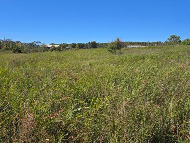 Land for sale in Shannon, Missouri